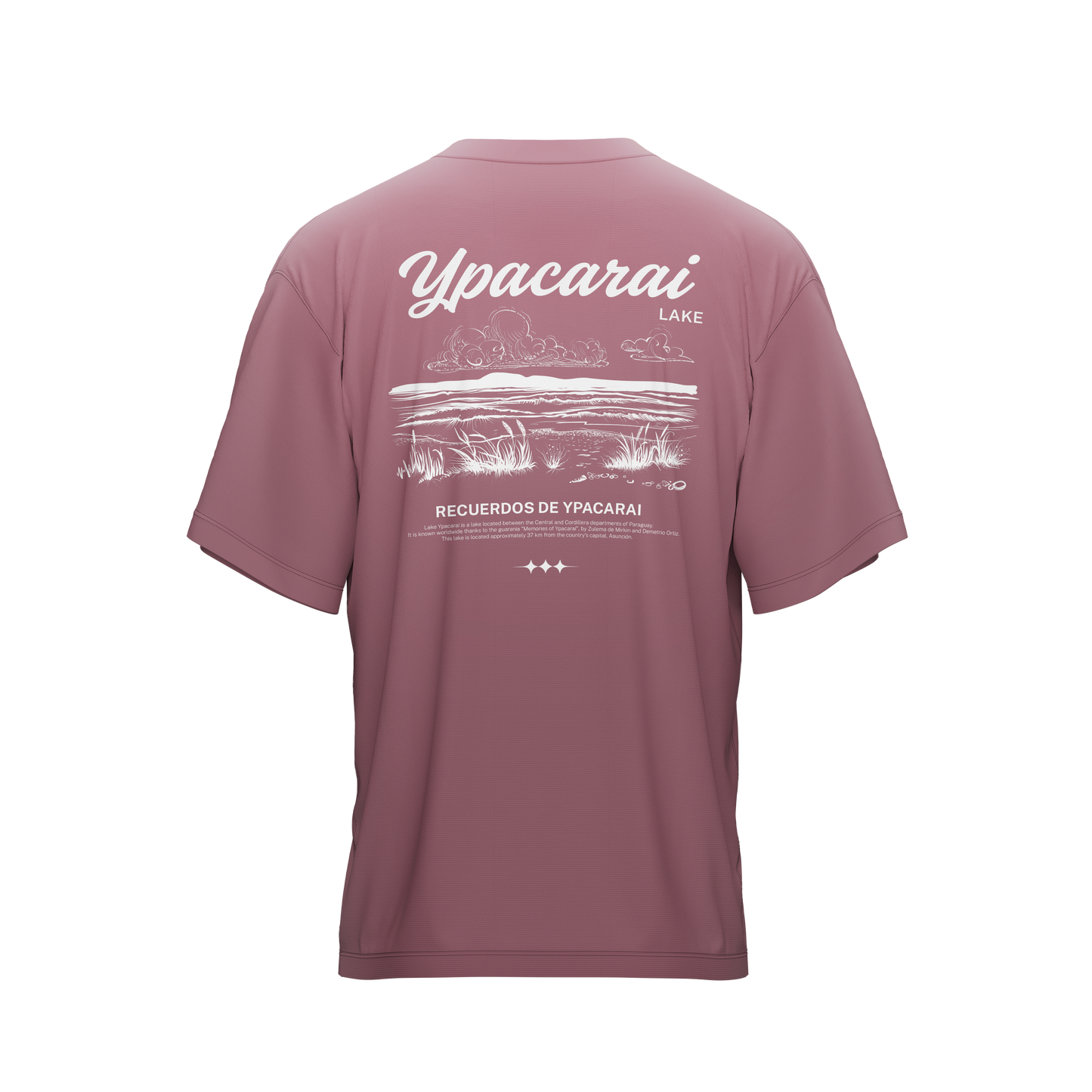 Ypacaraí Lake Boxy Tee